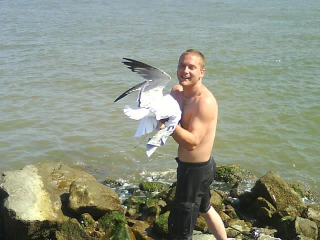 Click to view original